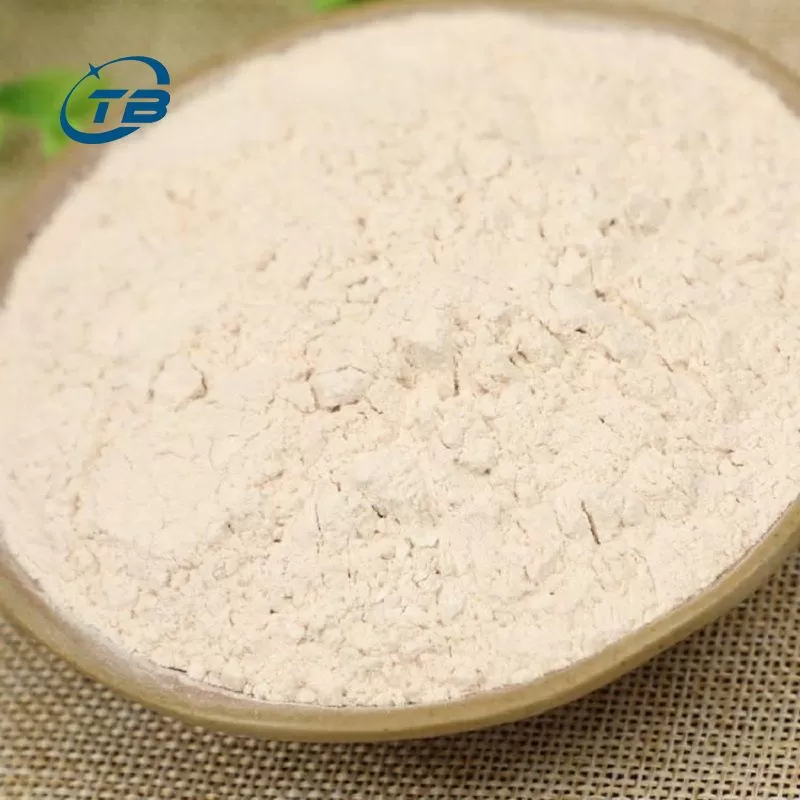 Wheat Gluten