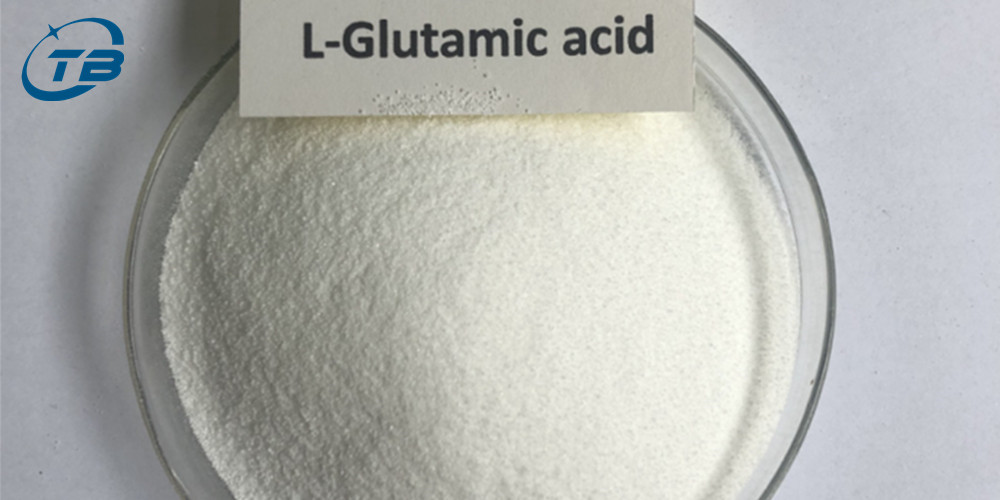 L-Glutamic Acid