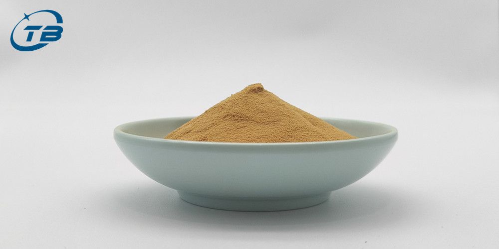 Coffee Dextrin 5