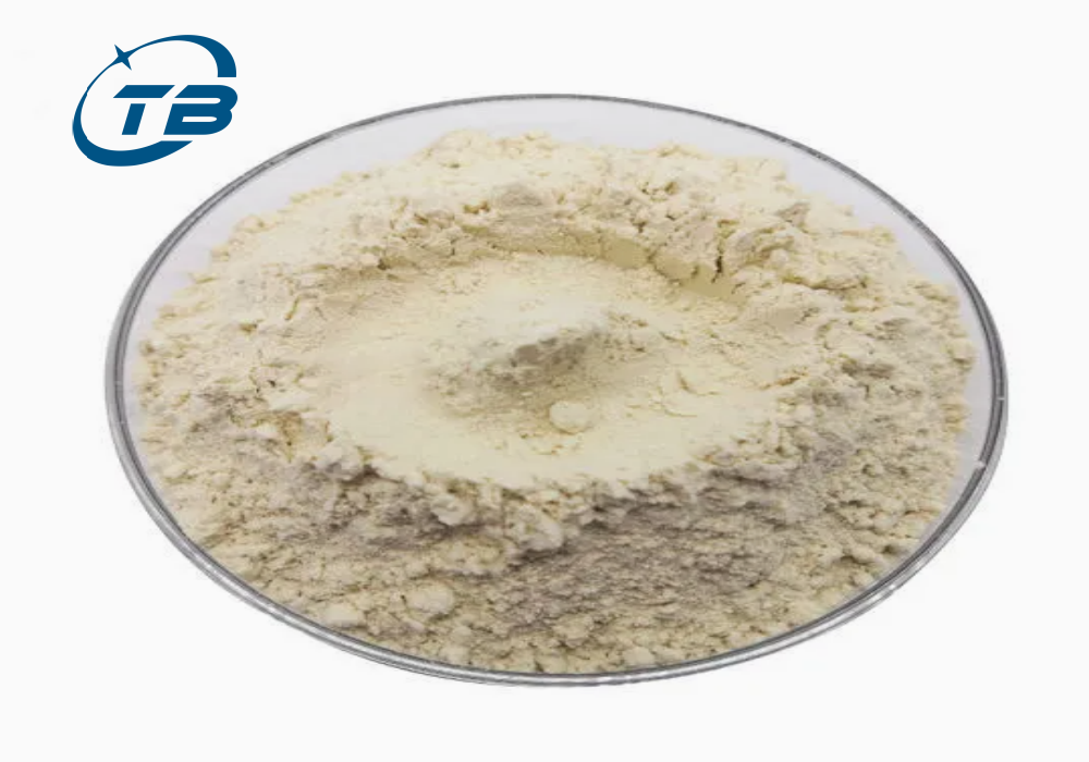 Wheat Gluten
