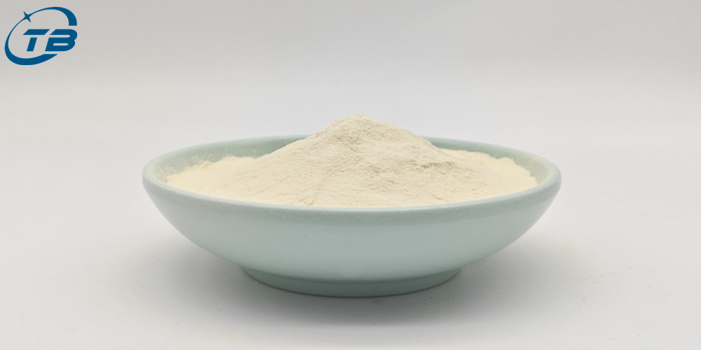 Natural Soybean Extracts Soy Peptide Powder
