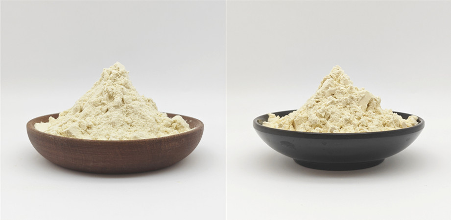 Protein Supplement Soy Protein Isolates
