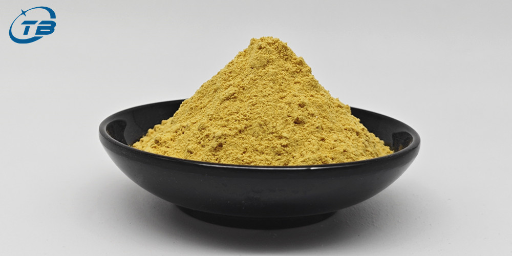 Hot Sale Soy Isoflavones 10%