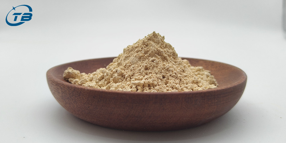 Natural Food Grade Soy Isoflavones 40%